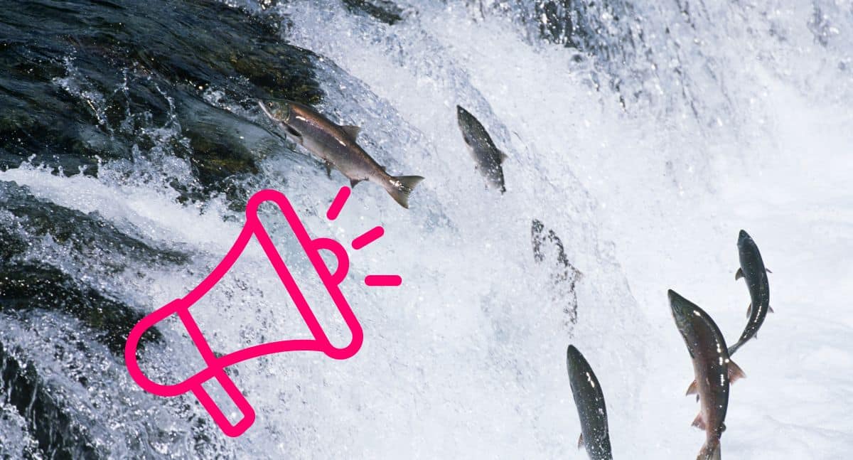 Marketing Upstream vs Downstream: Understanding the Difference